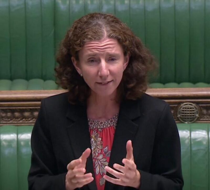 Anneliese at the despatch box